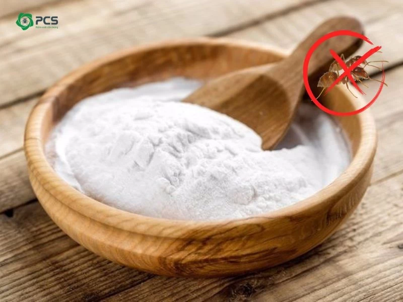 diệt kiến bằng baking soda